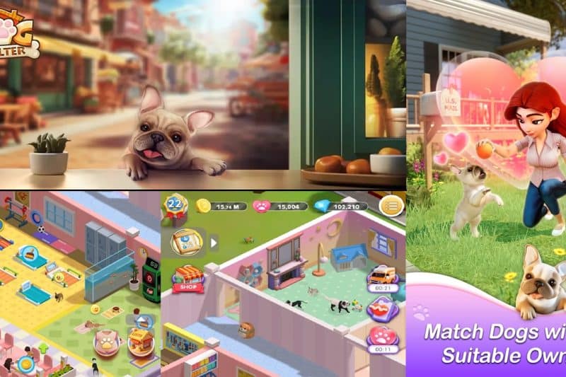 Открой свой приют для собак: симулятор управления с детективным сюжетом в открытом бета-тесте